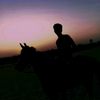 abdalwahab.g