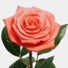 jo_ana0906