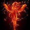 venera67www.tiktok.com