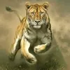 2715518116679asad