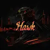 itzhawkztv