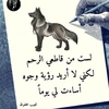 alaaalrawi875