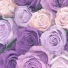 lynda_0404