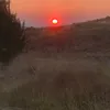 aydogdu69