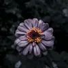 meandquotes_