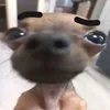 pablizzz_