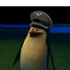 psikutajurek997