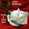 joeblack489
