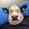 humblelillitha