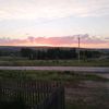 belyaev__a