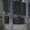 greykouki