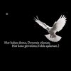 babeli_053