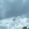 damman_813