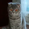 lybolovely