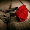 user4276196137006