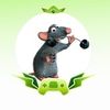 Noel2.0🐭