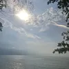 raraa_5182