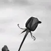 ggrkjr