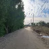 hgf_169