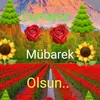 muhammetmertoglu0