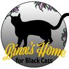 binxshomeforblackcats