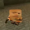 monkeideluffy9898