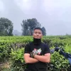 alfonsstambunan_