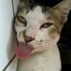 mhmmd_fadli3