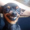 cacas2cute2