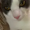 yiuuchxy