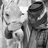 محمد