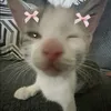 alexanderivano131