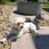 stanleyluvspats