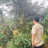 kuteo423
