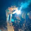 798pipeliner798