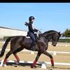 Boswell Equestrian Centre