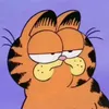 garfield8w