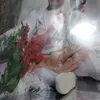 assuntaderosa24