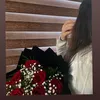 _lanya.h