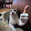 goobster_yeah