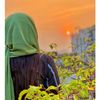 shuhasini3455