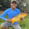 franciscogarces36