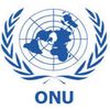 onu323