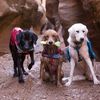 The Adventure Pack