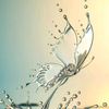 afroz0067