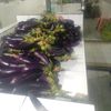 bakulsayur250589