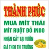 lethanh40289
