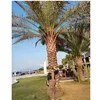 sb_bilqis0176