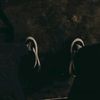 rianto_a99
