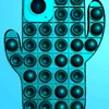 ecalobciana7